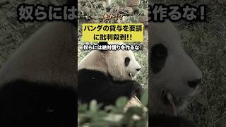 また！？パンダの貸与要請に批判殺到！！#自民党 #森山 #パンダ