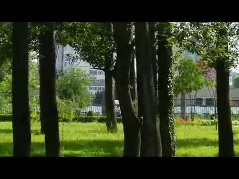 Pitesti-parcul Lunca Argesului