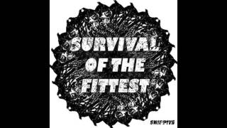 Survival Of The Fittest (Original Mix)