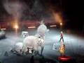 Ringling Bros And Barnum Bailey Circus