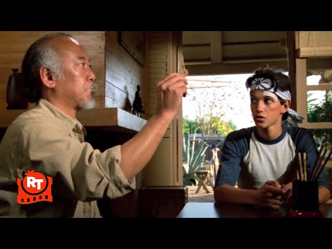 The Karate Kid (1984) - Catching A Fly With Chopsticks Scene | Movieclips