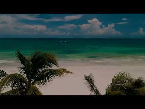 Amansala Resort |Beachclub | Spa Miniatura de video de YouTube 21