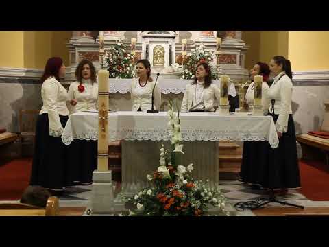 Klapa Nava -   Priko mosta o Ciova