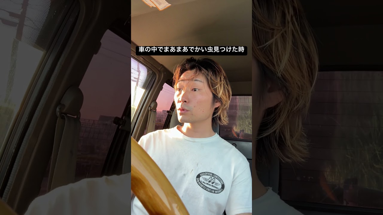 夏は虫との戦いですよね