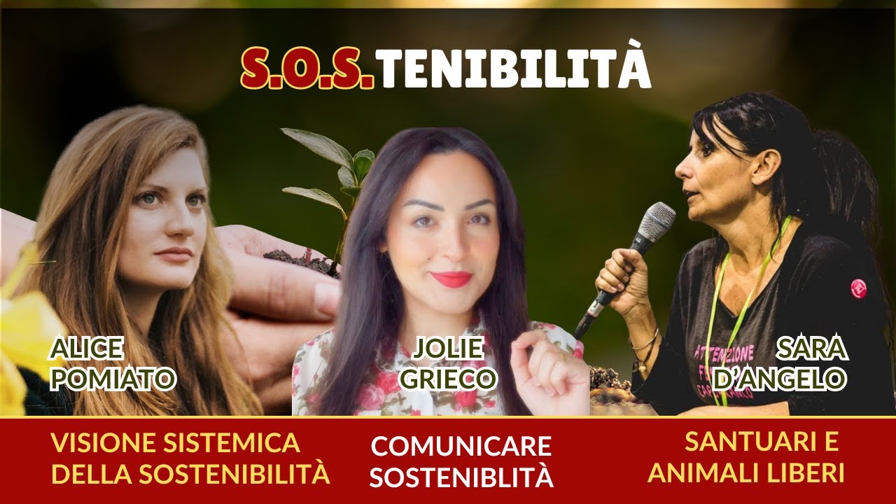 Sostenibilità tra etica, comunicazione e approccio sistemico - S.O.S.tenibilità 4/5