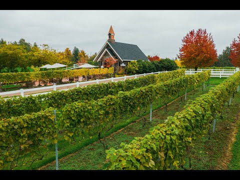 Breathtaking Equestrian Estate and Winery | 5290 Olund Road Abbotsford, BC