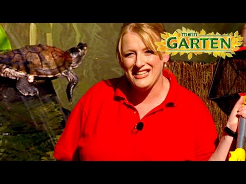 SCHILDKRÖTENHIMMEL auf ERDEN! | Mein Garten | Ganze Folge | RTL Haus & Garten
