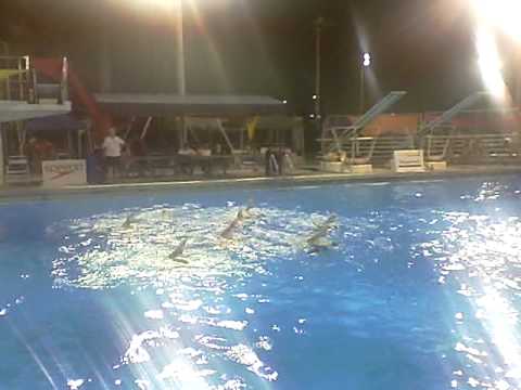 MSM 40s G Team Free - practice @ Coral Springs