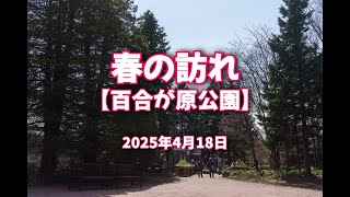 2025年4月18日 春の訪れ【百合が原公園】