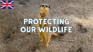 Conservation For Kids gameplay video by aliciawalsh@kecg.org, 7:22 duration