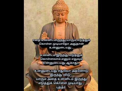 Buddha Quotes😊 #buddha #buddhism #motivation #tamil