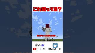 【マイクラ検証】これが無限増殖バグ？！豆知識！【Minecraft】【ゆっくり実況】