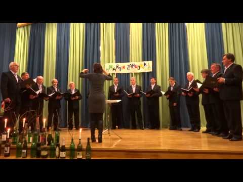 Večerni ave, MPZ Štingl'c