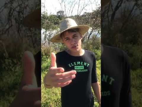 MATHEUS QUIRINO 🤗✍💣🎶