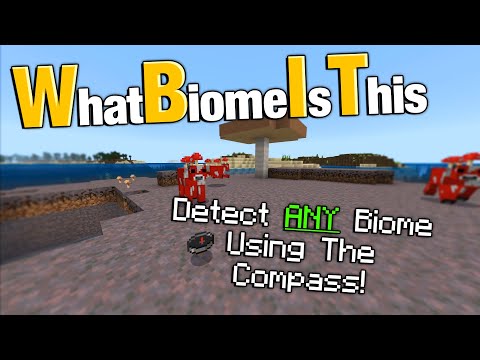 DanRobzProbz - "WBIT" Biome Locator Addon W/Download For Minecraft Bedrock Edition. [What Biome Is This]