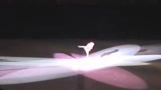 04DSC IceShow Conga