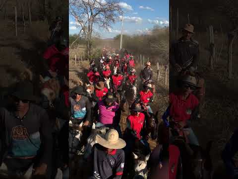 Cobertura na Cavalgada Boquira Bahia 2026