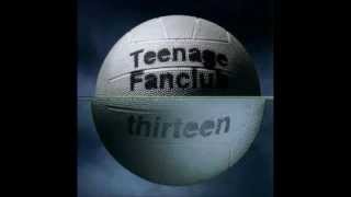 Teenage Fanclub - Commercial Alternative