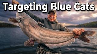 Finding Blue Catfish in Spring