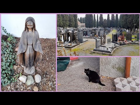 ХРОМАЯ ЧЁРНАЯ КОШКА 🐈‍⬛ РИТУАЛЫ В ДЕЙСТВИИ 💀 БОГОРОДИЦА, ПОПИРАЮЩАЯ НОГОЙ ЗМЕЮ