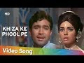 खिज़ा के फूल पे आती कभी बहार नहीं राजे�