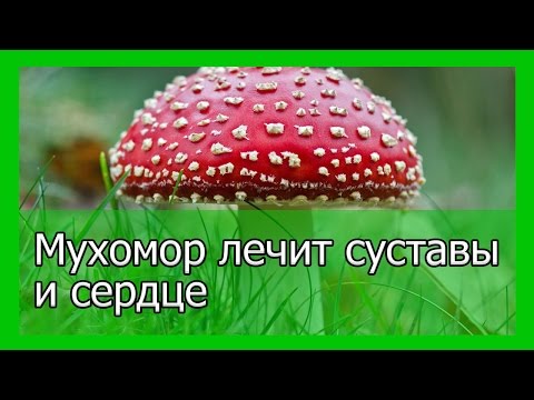 Отзывы о лечении позвоночника в тюмени Амитриптилин от боли в спине