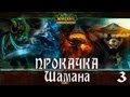 World of Warcraft Прокачка Шамана. Часть 3. 10 лвл. 