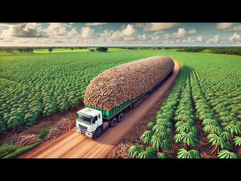Así se Cultiva - Agro Tecnología and Agro Channel Tv