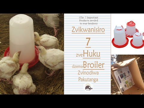 Huku dzemaBroiler : Zvikwanisiro Zvinodiwa | Broiler Farming in Zimbabwe | Poultry |Agriculture