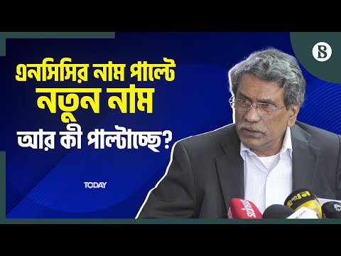 এনসিসির প্রস্তাব থেকে সরে এসেছে ঐকমত্য কমিশন: আলী রীয়াজ | The Business Standard