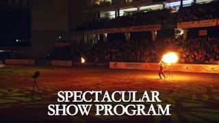Tallinn International Horse Show 2014 trailer