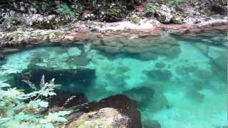 preview picture of video 'Vintgar Gorge - Slovenie'