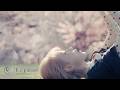 BoA 보아 Ain T No Hard Feelings Visualizer