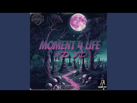 Moment 4 life