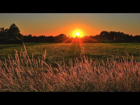 Sfeerbeelden Natuur 4K | Natuurbeelden zonder Muziek, Beelden voor op de TV | full HD 60 FPS