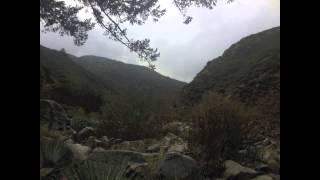 Botany - You might be an Eye