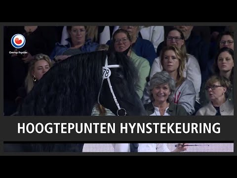 Samenvatting HK 2025 in één uur