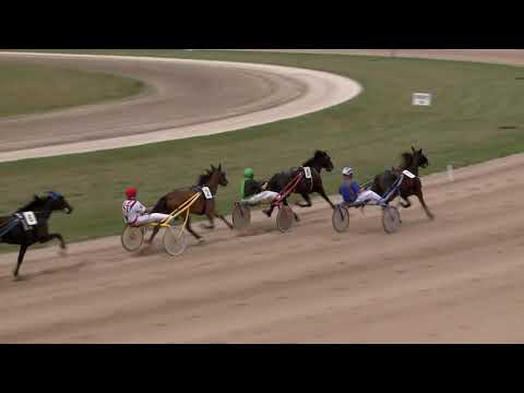 2021.05.15. 04. futam - NO NOT ME DÍJ