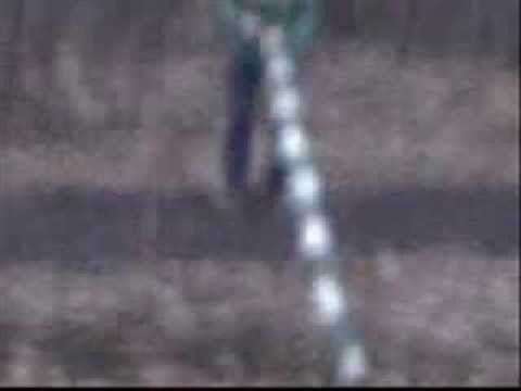 Podlas Jamakaśi "Blokada Drogi"