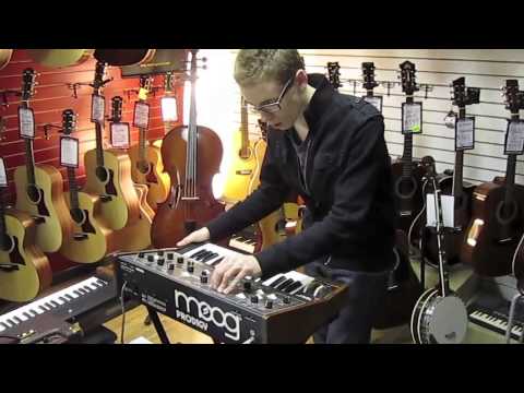 Moog Prodigy Demo