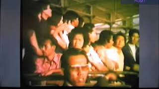 ニューギニアに父を訪ねて