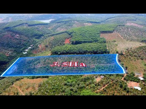 Bán đất Nghĩa Thắng DăkRLấp , 3,5Ha nguồn thu đẹp, giá 2.4 tỷ