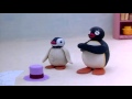 Pingu Pingu The Conjurors Apprentice