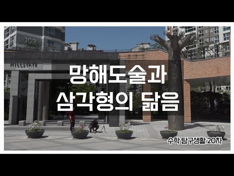 망해도술과 삼각형의 닮음 - 수학 탐구생활