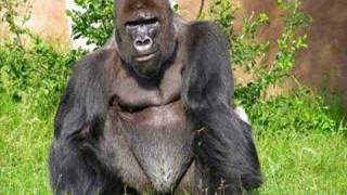 Cartel de Santa-RIMA 2