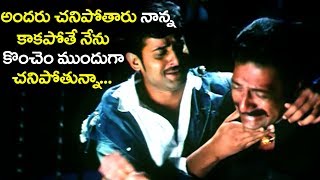 Prabhas Special Best Emotional Scenes  Prabhas Bir