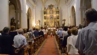 preview picture of video 'Molina de Aragón por la Virgen del Carmen 16-7-2014'