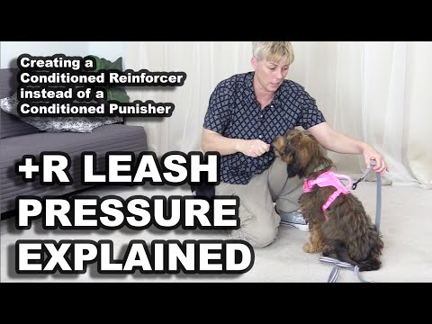 STOP UNWANTED behaviors with BACK UP