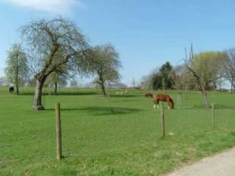 Heino - Was gleicht wohl auf Erden (Zuid-Limburg)