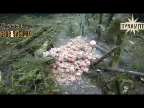 Dynamite Baits Spod & Bag Mix